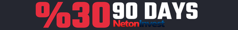 NetonInvest